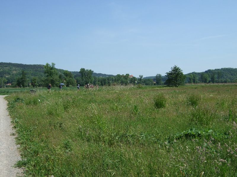 2011- 055.jpg